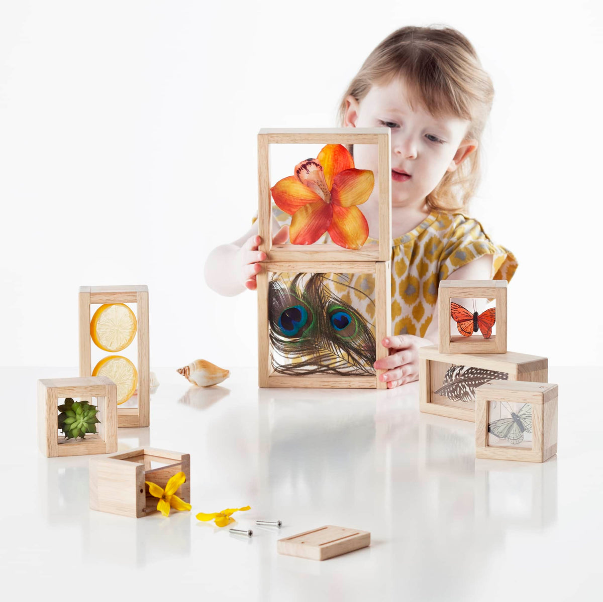 G3084 Treasure Blocks Clear Lifestyle8 | Clear