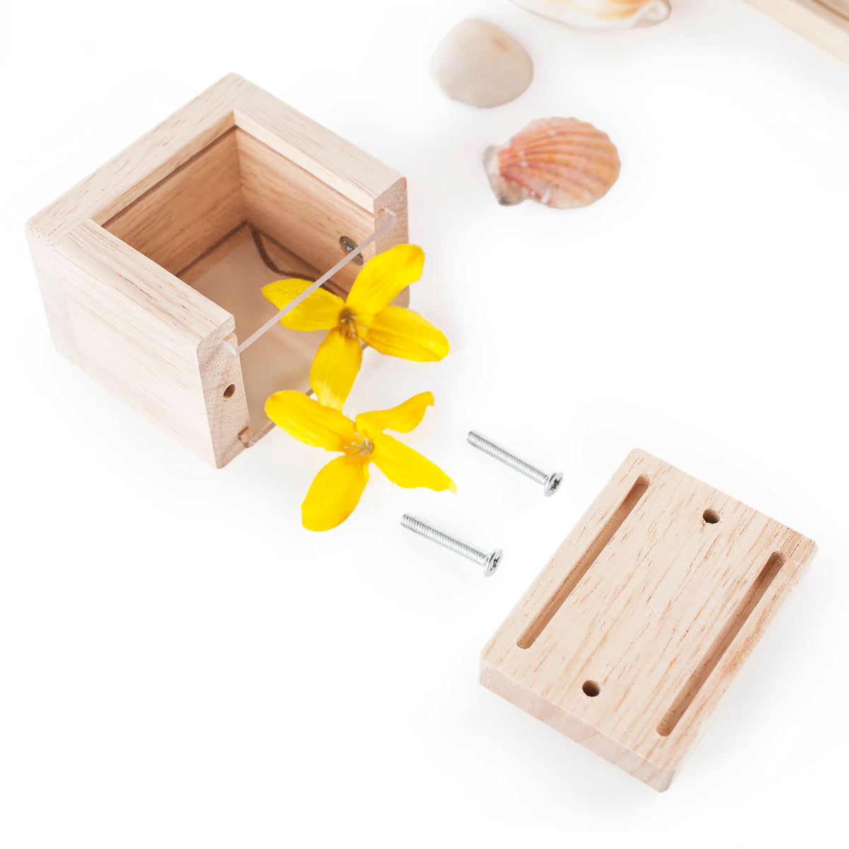 G3084 Treasure Blocks Clear 3 | Clear