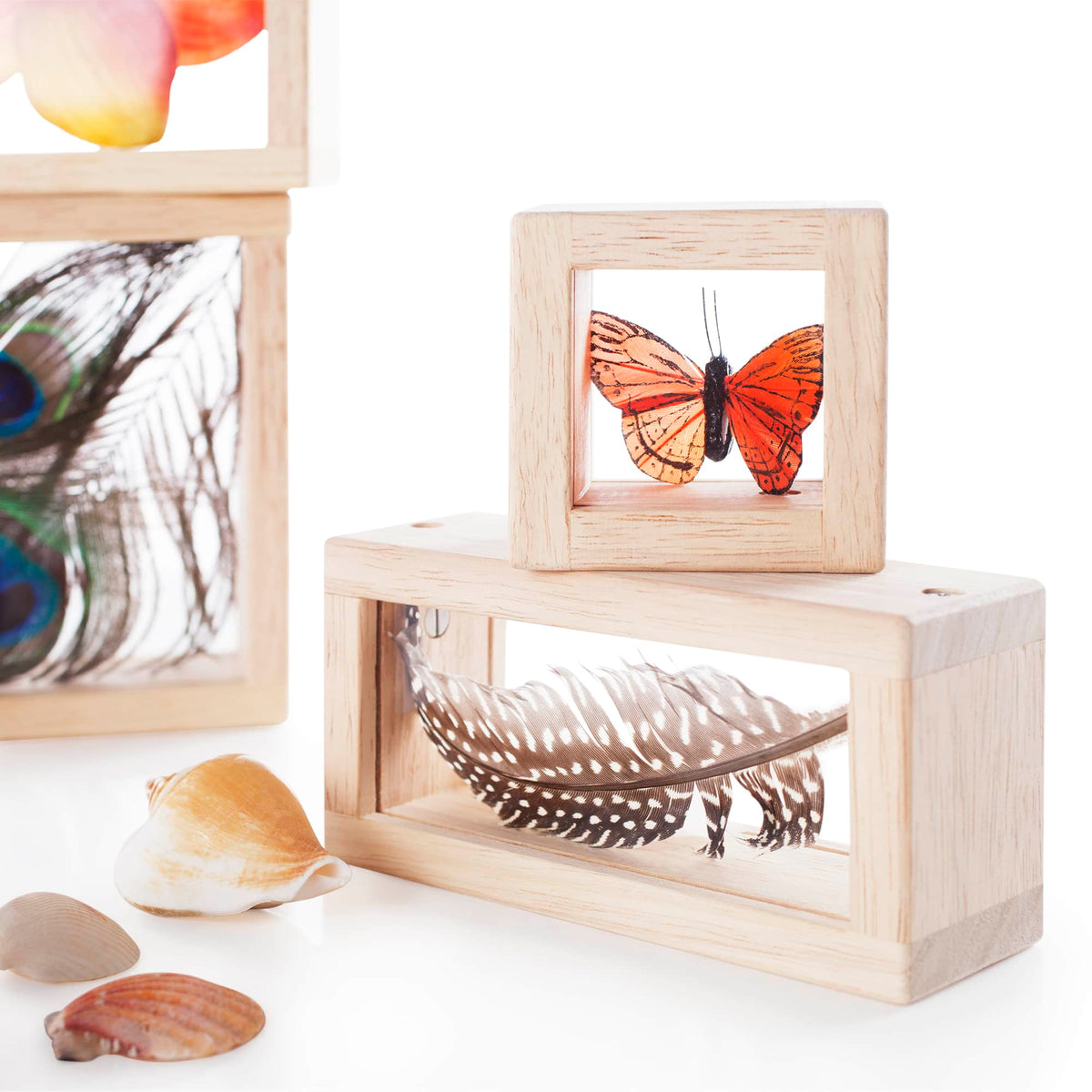 G3084 Treasure Blocks Clear 5 | Clear